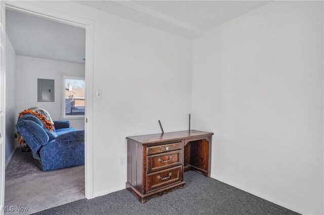 interior space with electric panel and carpet floors