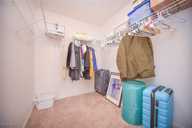 spacious closet with carpet flooring