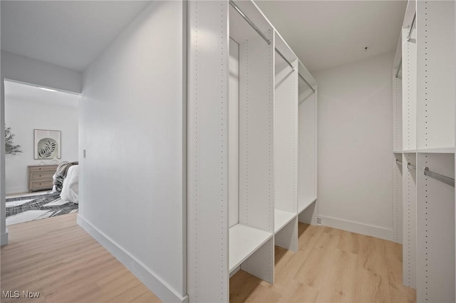 walk in closet featuring wood finished floors