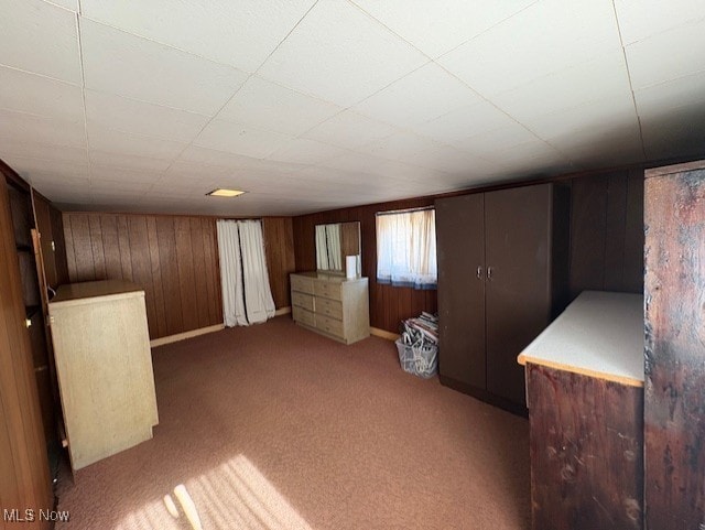 below grade area featuring carpet flooring and wood walls