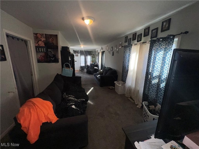 living area with carpet floors