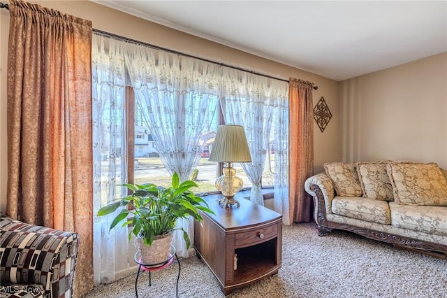 living room featuring carpet flooring