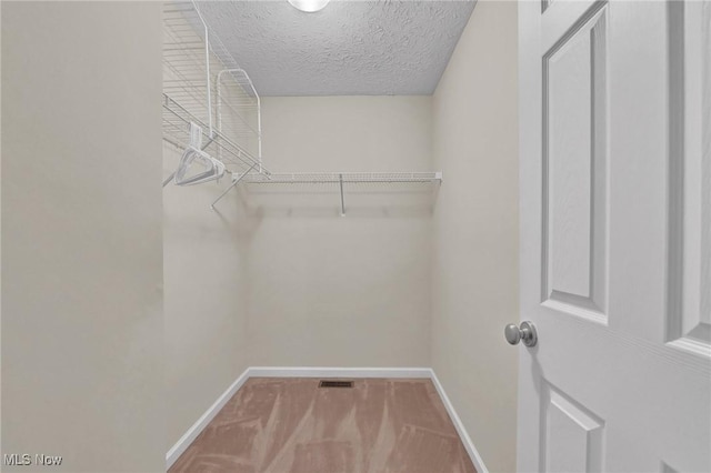 spacious closet featuring carpet