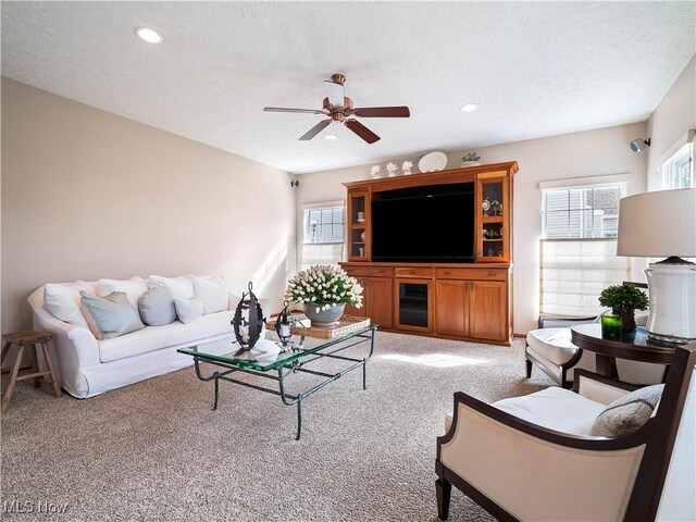 living area with plenty of natural light, a textured ceiling, and carpet