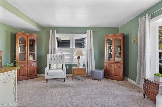 living area featuring baseboards and carpet floors