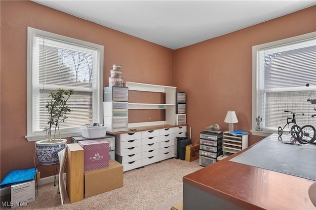 office featuring plenty of natural light and carpet floors