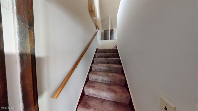 stairs featuring carpet flooring