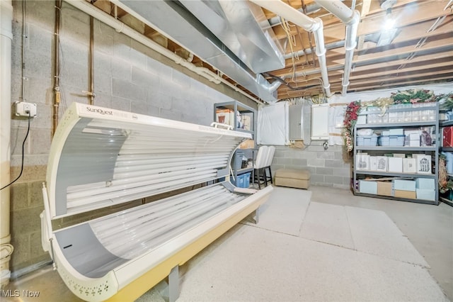 unfinished basement featuring concrete block wall