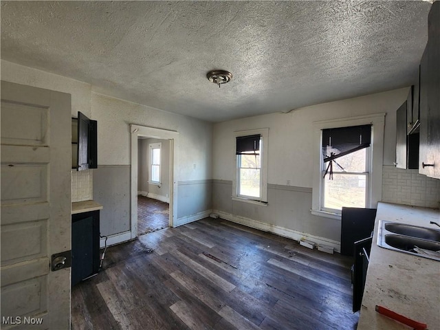 interior space featuring dark wood finished floors, wainscoting, a sink, light countertops, and a textured ceiling