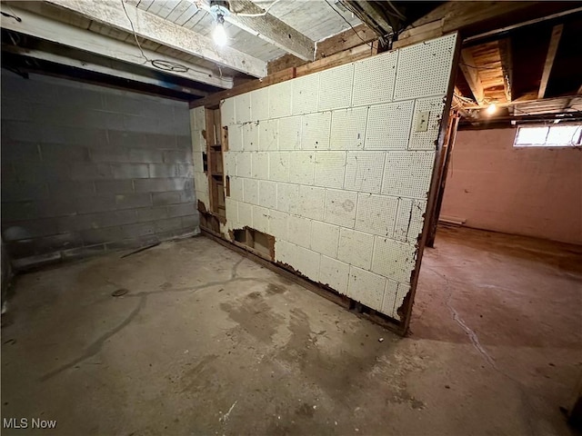 basement with concrete block wall