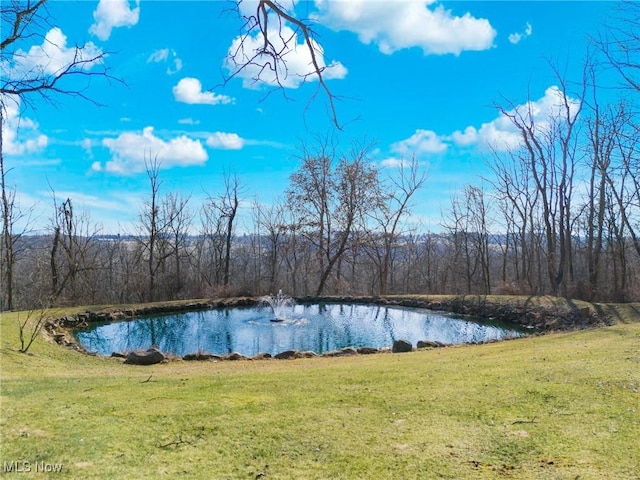 water view with a view of trees