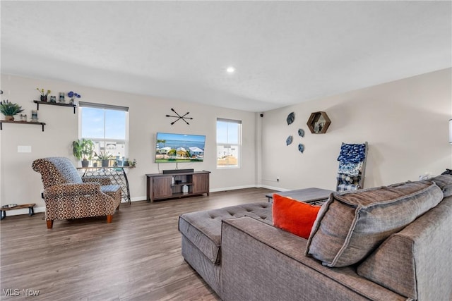 living room with baseboards and wood finished floors