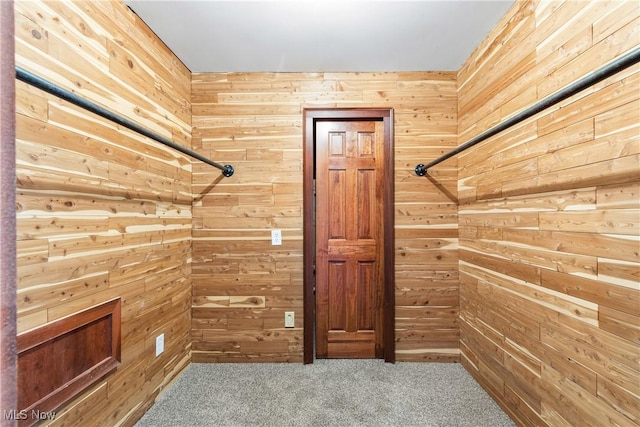 spacious closet featuring carpet flooring