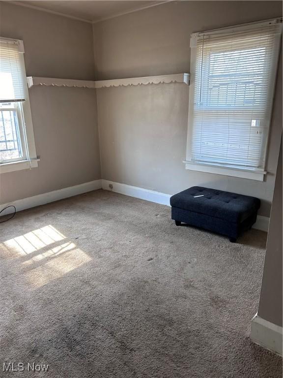 unfurnished room with baseboards, carpet floors, and ornamental molding