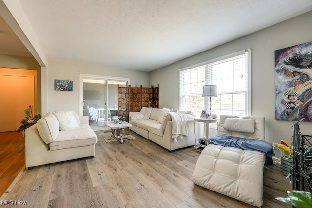 living room featuring a textured ceiling and light wood-type flooring