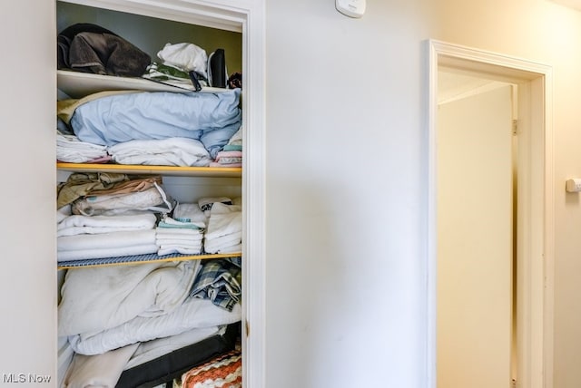 view of closet