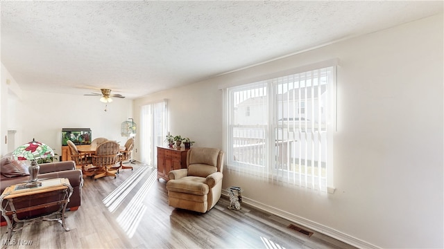 sitting room featuring wood finished floors, a wealth of natural light, and a textured ceiling