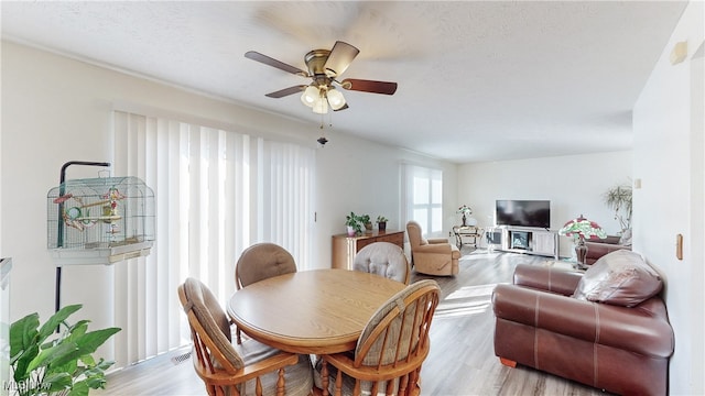 dining space featuring visible vents, a ceiling fan, light wood-type flooring, and a textured ceiling