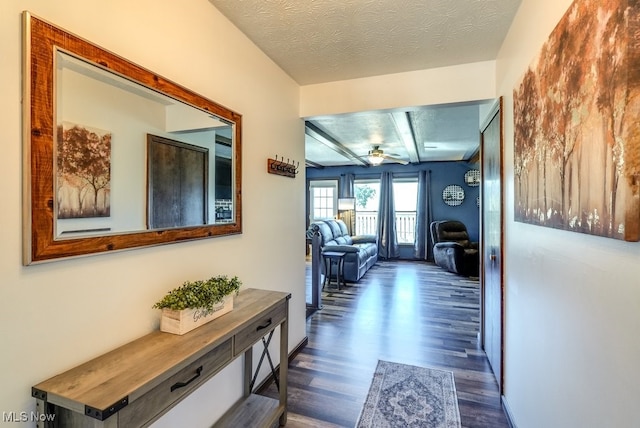 hallway with dark wood-style floors and a textured ceiling