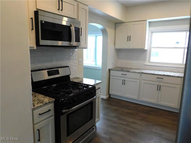 kitchen featuring decorative backsplash, plenty of natural light, dark wood-style floors, and stainless steel appliances