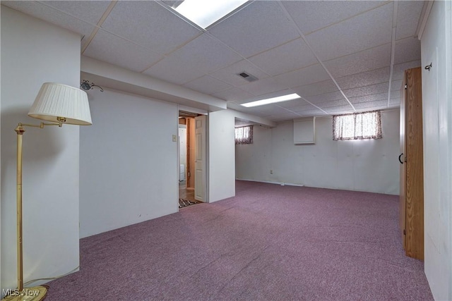 basement featuring a drop ceiling, visible vents, and carpet floors