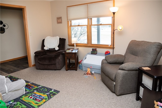 carpeted living area featuring baseboards