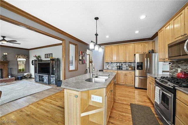 kitchen with light wood-style floors, open floor plan, appliances with stainless steel finishes, and a sink