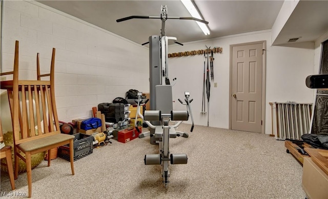 workout area featuring concrete block wall and carpet floors