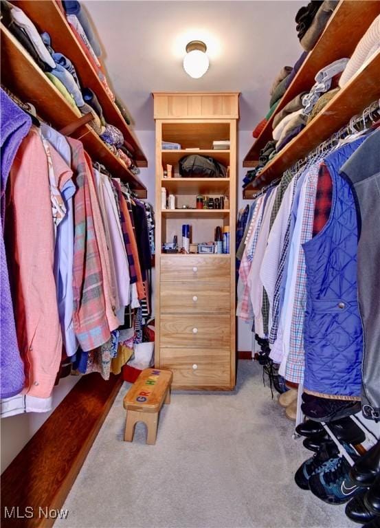 walk in closet with carpet floors