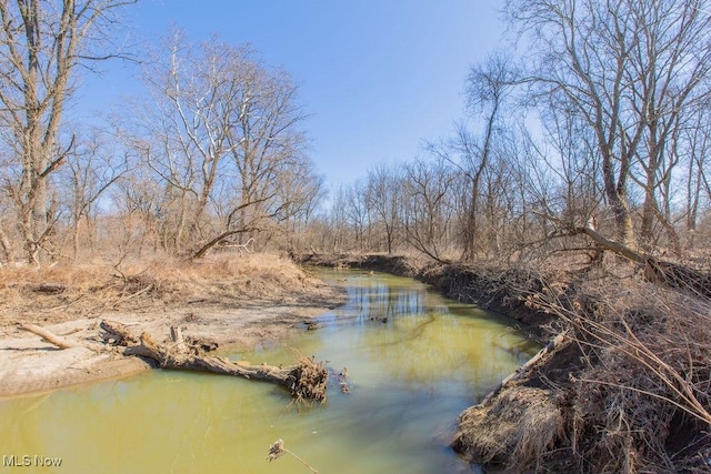 6603 Congress Rd, Spencer, OH 44275 - water view