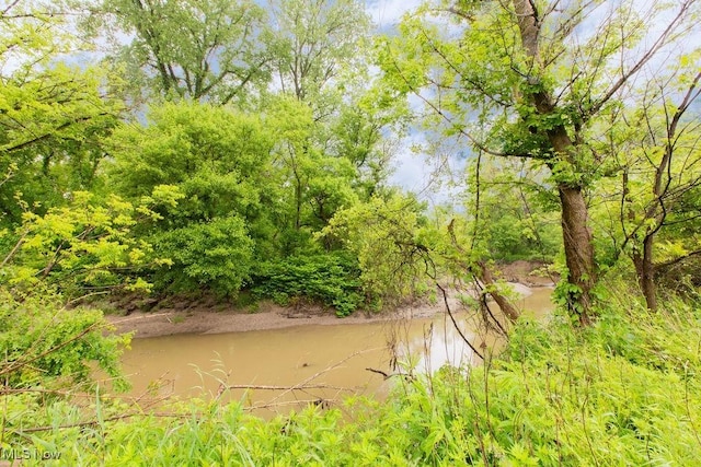 6603 Congress Rd, Spencer, OH 44275 - view of nature