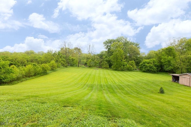 6603 Congress Rd, Spencer, OH 44275 - view of grassy yard with an outbuilding