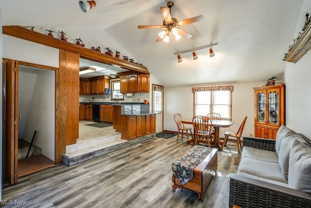 living room with ceiling fan, vaulted ceiling, light wood-style flooring, and a textured ceiling