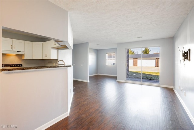 interior space with dark wood-type flooring, baseboards, and a textured ceiling