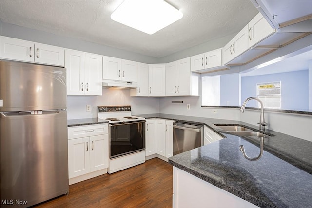 kitchen with dark stone countertops, dark wood-style floors, a sink, under cabinet range hood, and appliances with stainless steel finishes