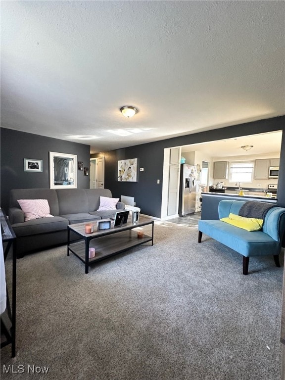 living room with carpet and a textured ceiling