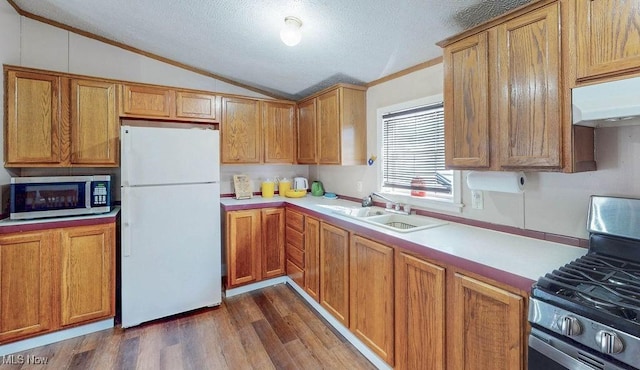 kitchen featuring under cabinet range hood, light countertops, vaulted ceiling, appliances with stainless steel finishes, and a sink