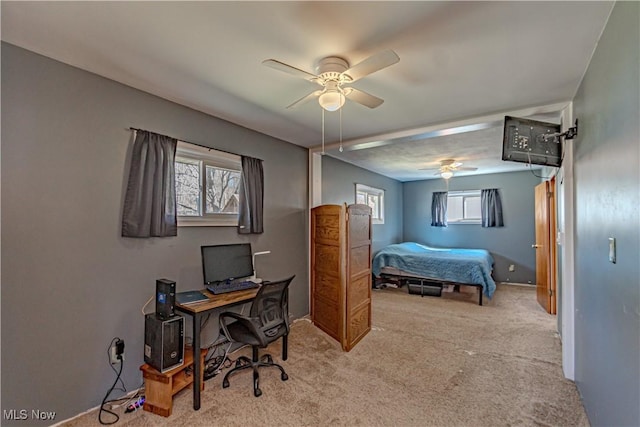 carpeted bedroom with multiple windows and ceiling fan