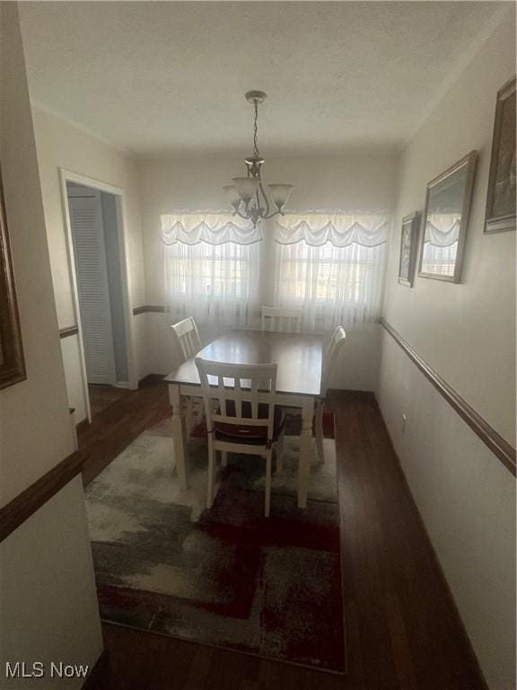 dining room featuring a notable chandelier, a healthy amount of sunlight, and wood finished floors