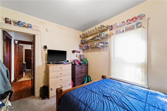 bedroom with carpet floors