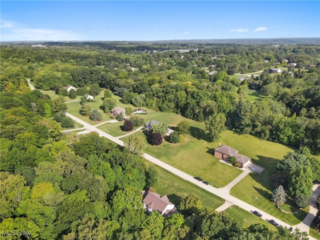 bird's eye view with a forest view