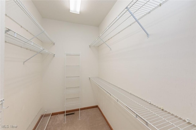 spacious closet featuring light carpet