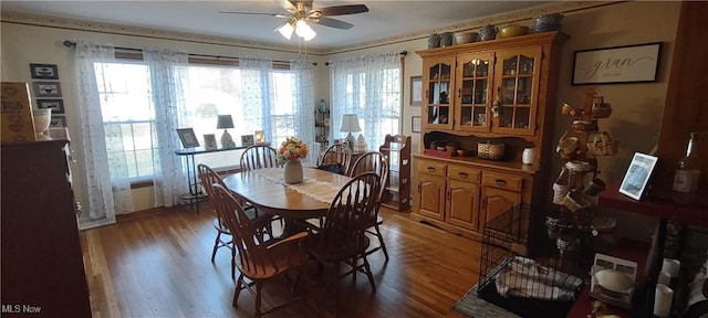 dining space with light wood-style floors and ceiling fan