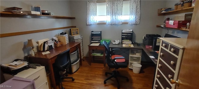 office space featuring wood finished floors