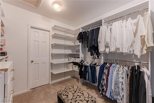 spacious closet with light colored carpet