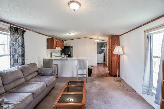 living area featuring lofted ceiling, a textured ceiling, carpet flooring, and crown molding