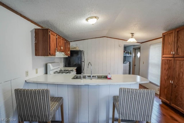 kitchen featuring under cabinet range hood, white gas range, a peninsula, freestanding refrigerator, and a sink