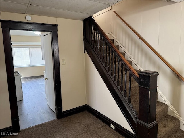 stairway with a paneled ceiling, baseboards, and carpet floors