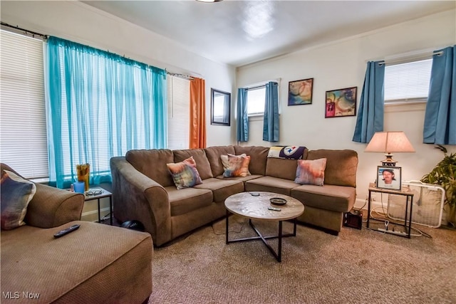 view of carpeted living room