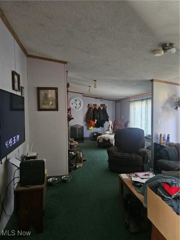 living area featuring a textured ceiling, carpet, and ornamental molding